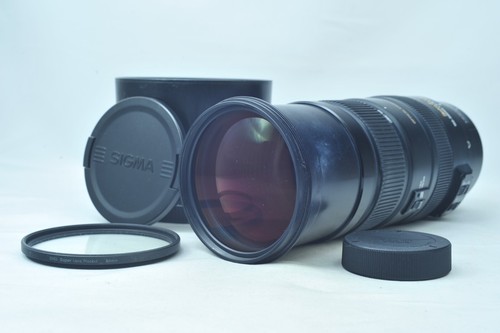 Sakurado sigma dg - @,